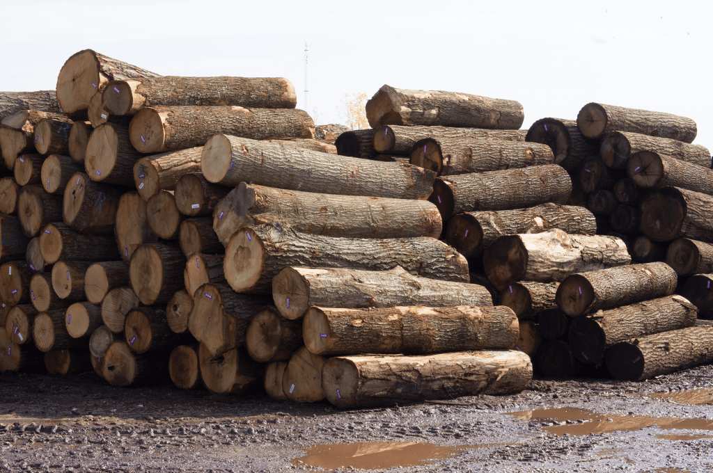 Unusual Myths about the Lumber Industry.