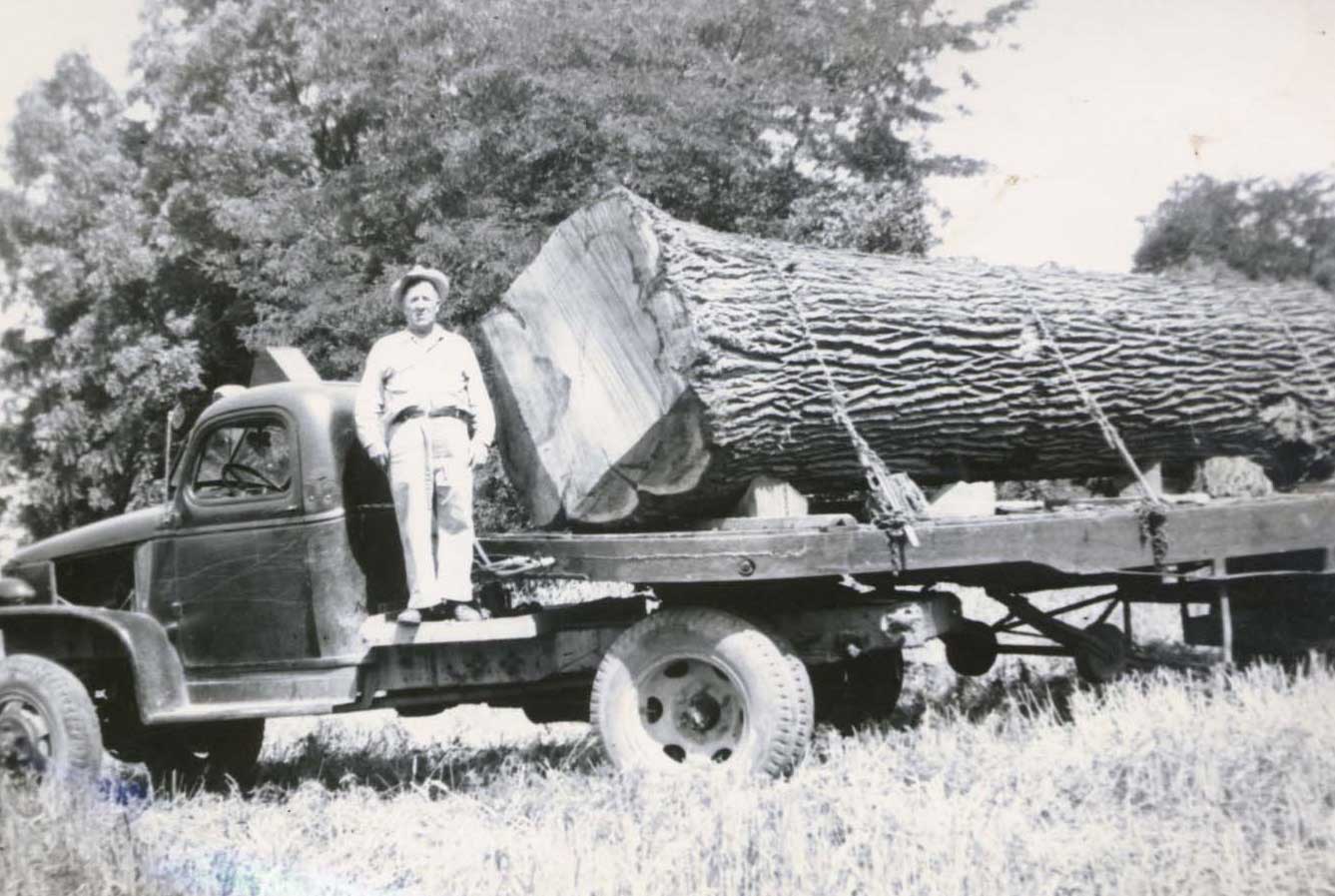 old logger